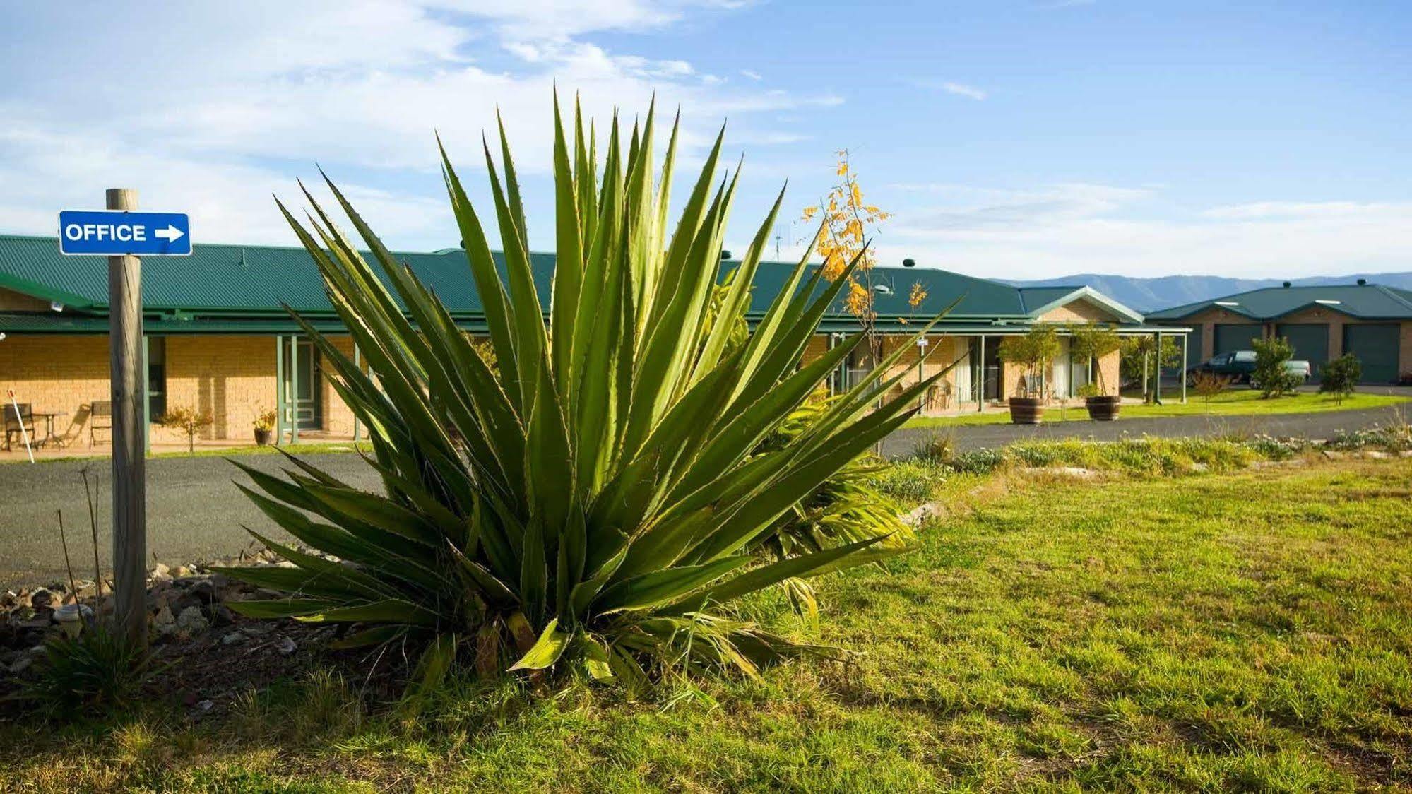 Talga Estate Villa Lovedale Dış mekan fotoğraf